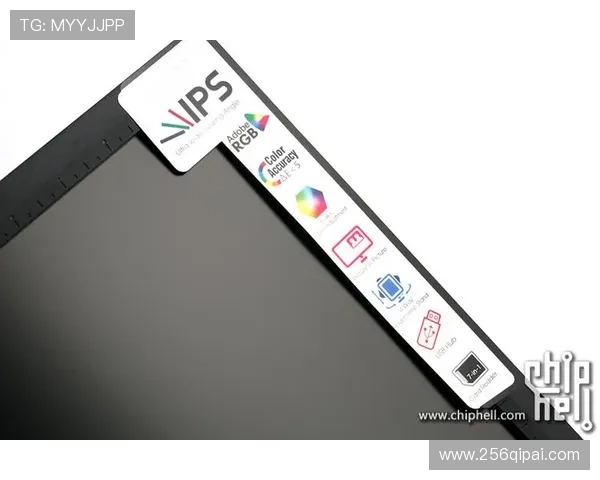 PA官网用户体验评测，值得一试的在线平台